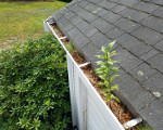 before after roof cleaning cape cod ma