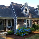 >Roof cleaning and cedar shingle cleaning